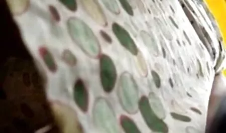 男の子用うさぎ 無料 女性 マッサージ 動画