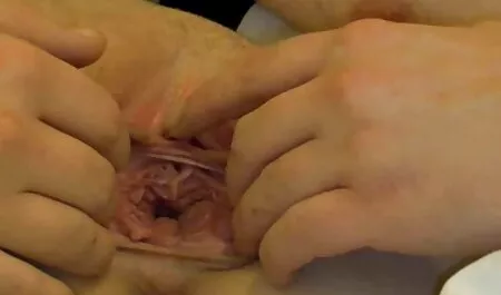 美しい堕落を示しています彼女の体にwebカメラ 女性 マッサージ 師 動画