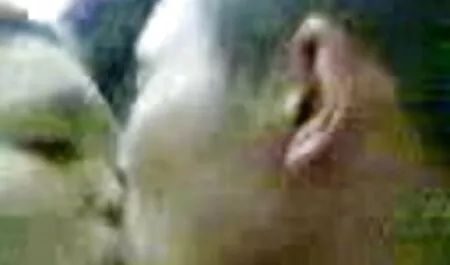 ブルネットダイヤモンドキティ 無料 エロ 動画 女性 マッサージ 師