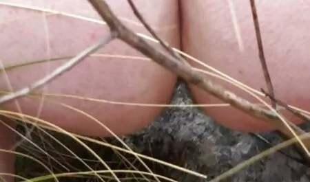 アンジェリカ痴女セックス 動画 女 マッサージ